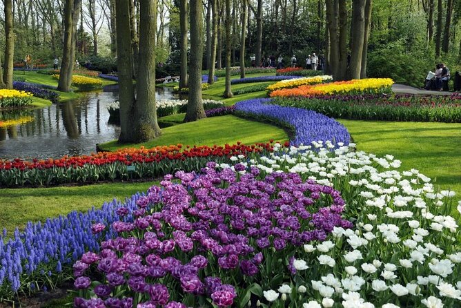 Amsterdam: Keukenhof Entry & Shuttle Bus with Flexible Return - A stress-free way to reach Keukenhof from Amsterdam