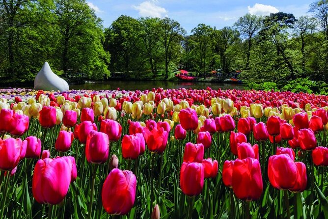 Amsterdam: Keukenhof Entry & Shuttle Bus with Flexible Return - Who this Keukenhof shuttle day trip fits best