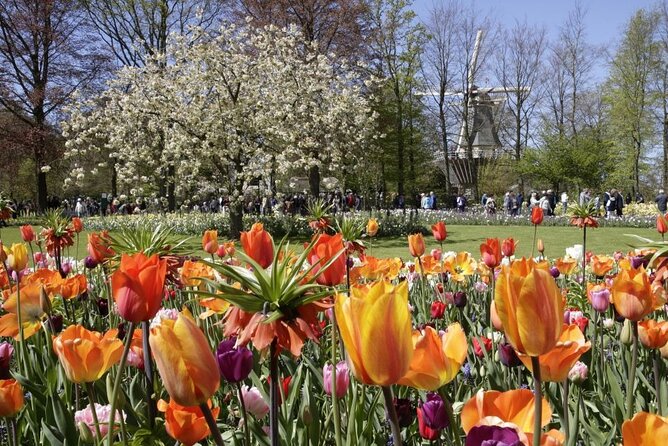 Amsterdam: Keukenhof Entry & Shuttle Bus with Flexible Return - Finding This is Holland (and using the free ferry like a pro)