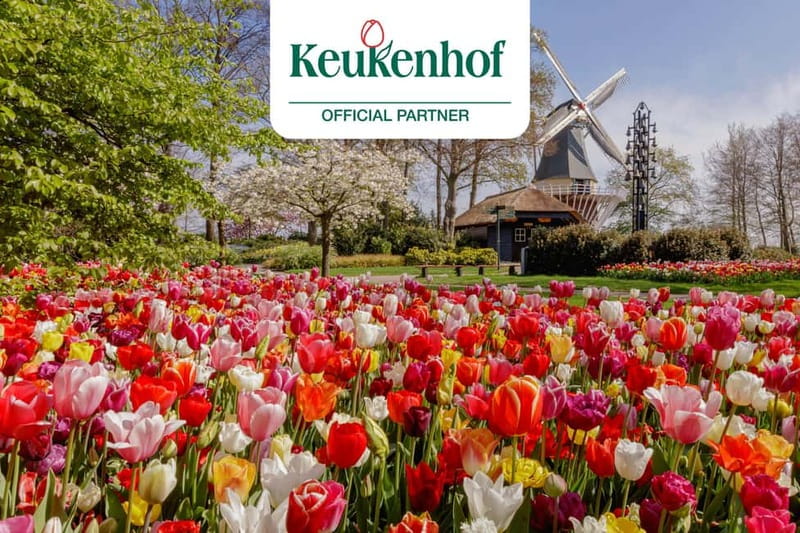 Amsterdam: Keukenhof Ticket and Roundtrip Shuttle Transfer - Why This Keukenhof Shuttle Plan Feels Like the Smart Way