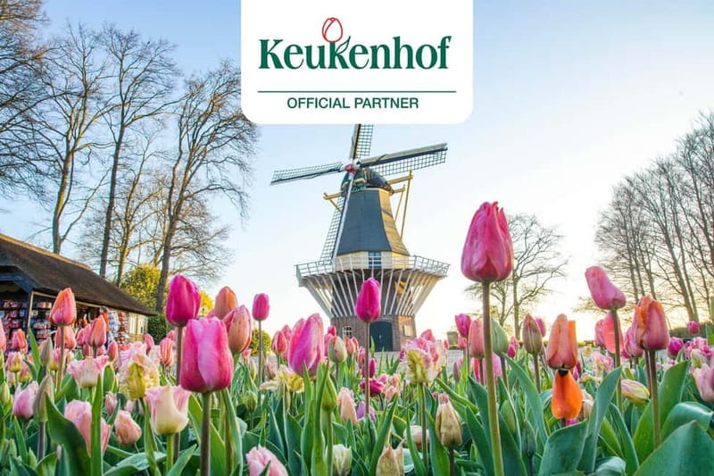 Amsterdam: Keukenhof Ticket and Roundtrip Shuttle Transfer - Meet at This Is Holland, Then the Day Gets Easier