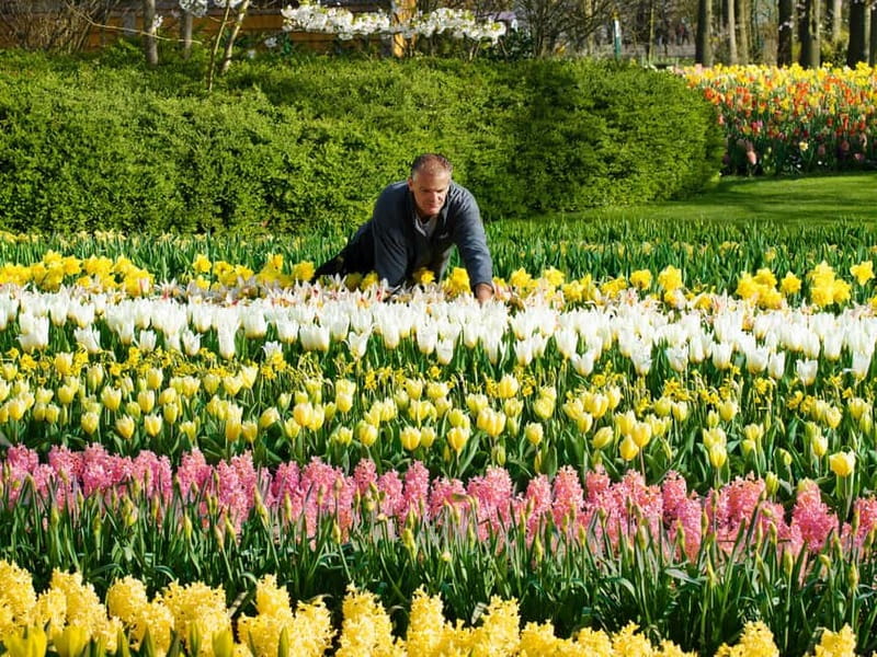 Amsterdam: Keukenhof Ticket and Roundtrip Shuttle Transfer - Fast Entry Into Keukenhof, Then It’s Your Garden Day