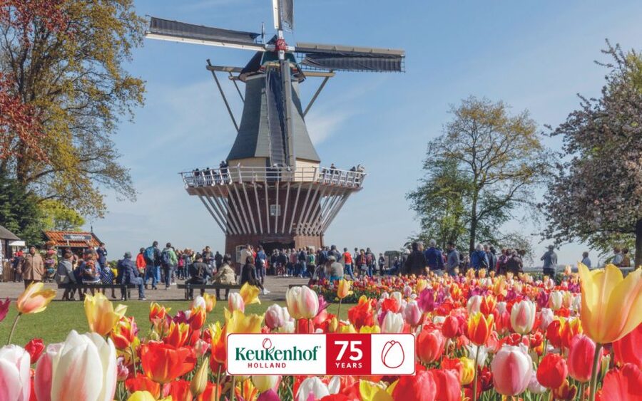 Amsterdam: Keukenhof Ticket and Roundtrip Shuttle Transfer - Bloom Timing: April Magic vs Late Season Reality