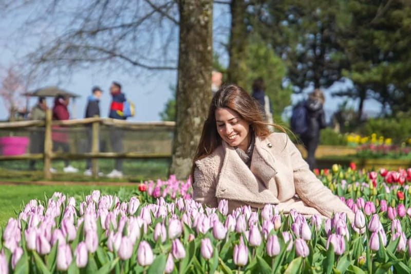 Amsterdam: Keukenhof Ticket and Roundtrip Shuttle Transfer - Where the Comfort Extras Really Help