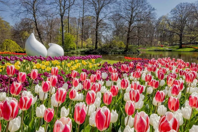 Amsterdam: Keukenhof Ticket and Roundtrip Shuttle Transfer - Who This Keukenhof Shuttle Day Trip Fits Best