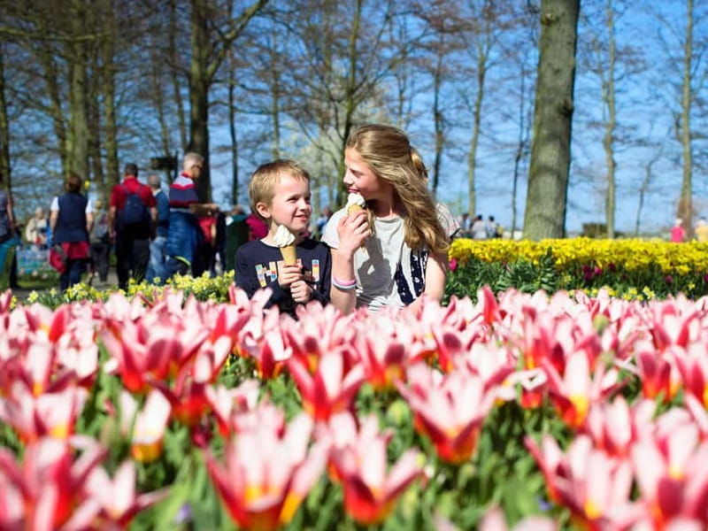 Amsterdam: Keukenhof Ticket and Roundtrip Shuttle Transfer - The Shuttle Ride: Comfortable, Direct, and Built for Crowds