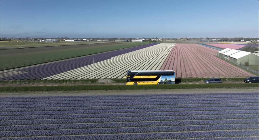 Amsterdam: Keukenhof, Tulip Farm Full-Day Tour with Cruise - FAQ