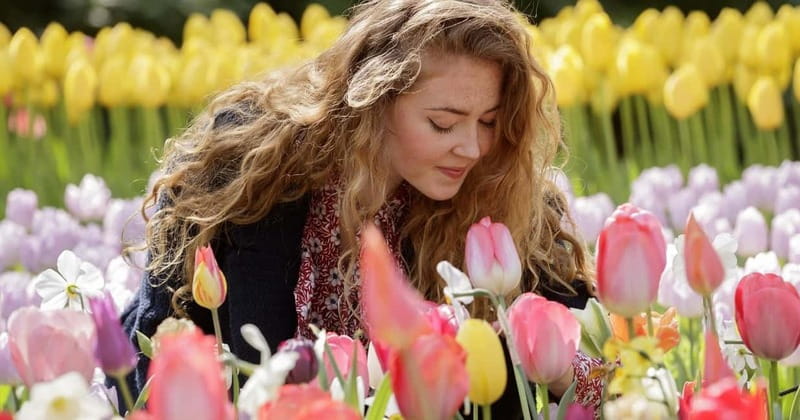 Amsterdam: Keukenhof, Tulip Farm Full-Day Tour with Cruise - From This is Holland to Keukenhof, how the day flows