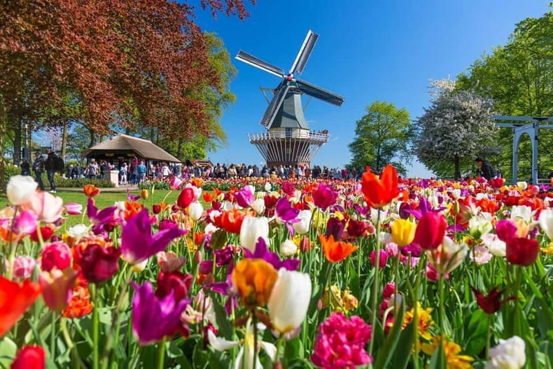 Amsterdam: Keukenhof, Tulip Farm Full-Day Tour with Cruise - Getting there and getting back: bus timing you can actually use