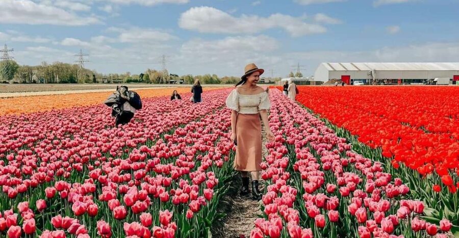 Amsterdam: Keukenhof, Tulip Farm Full-Day Tour with Cruise - Who this tour suits best