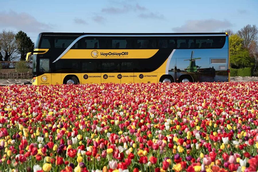 Amsterdam: Keukenhof, Tulip Farm Full-Day Tour with Cruise - Should you book this Keukenhof and tulip farm full-day tour?