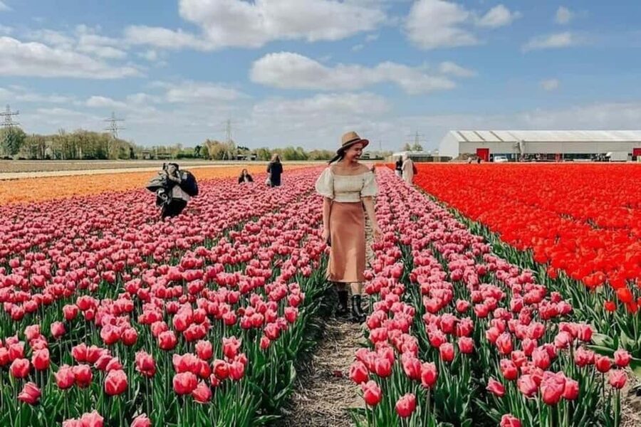Amsterdam: Keukenhof, Tulip Farm Full-Day Tour with Cruise - The tulip farm stop: meeting Daan and walking the fields