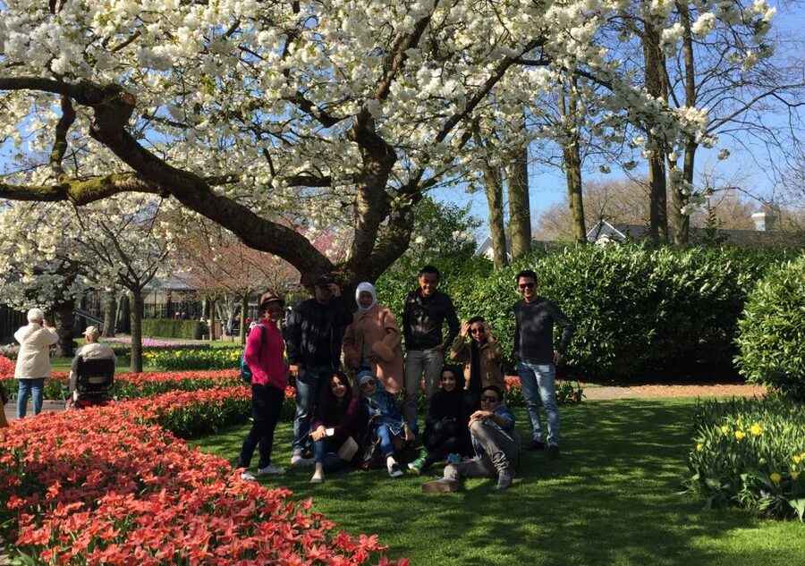 Amsterdam: Keukenhof Tulip Garden and Giethoorn Experience - Guides, Transport, and Why the Small Details Matter