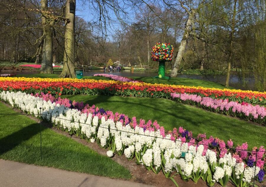 Amsterdam: Keukenhof Tulip Garden and Giethoorn Experience - Getting Out of Amsterdam: The 8:30 Start You Need to Plan For