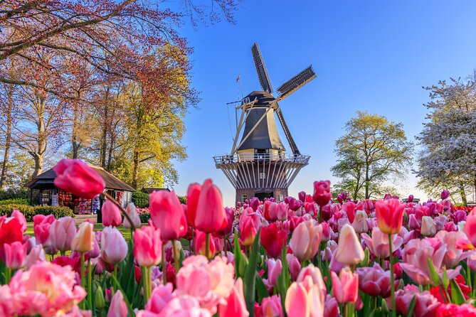 Amsterdam: Keukenhof, Zaanse Schans & Volendam Tour - A Spring Day That Covers the Dutch Hits, From Windmills to Tulips