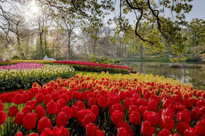 Amsterdam: Keukenhof, Zaanse Schans & Volendam Tour - Amsterdam Free Time for Lunch, Then the Keukenhof Rush