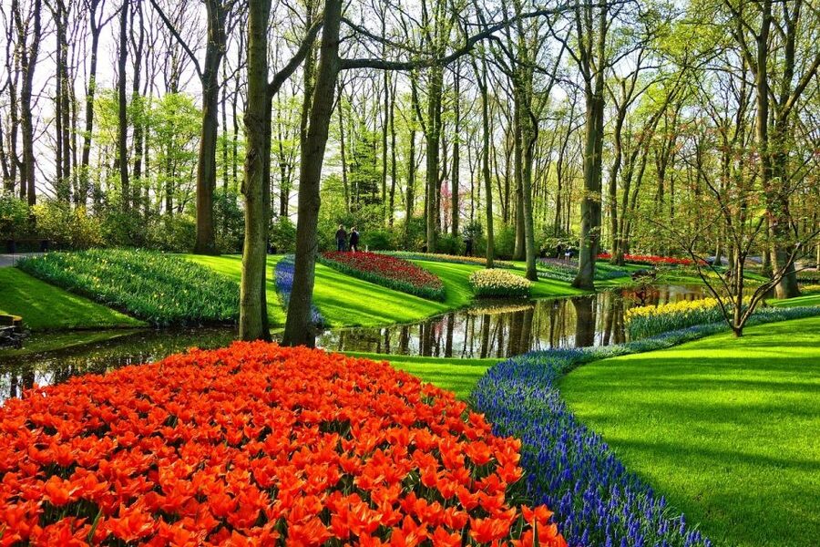 Amsterdam: Keukenhof & Zaanse Schans Windmills Private Tour - The little practical things that make your day smoother
