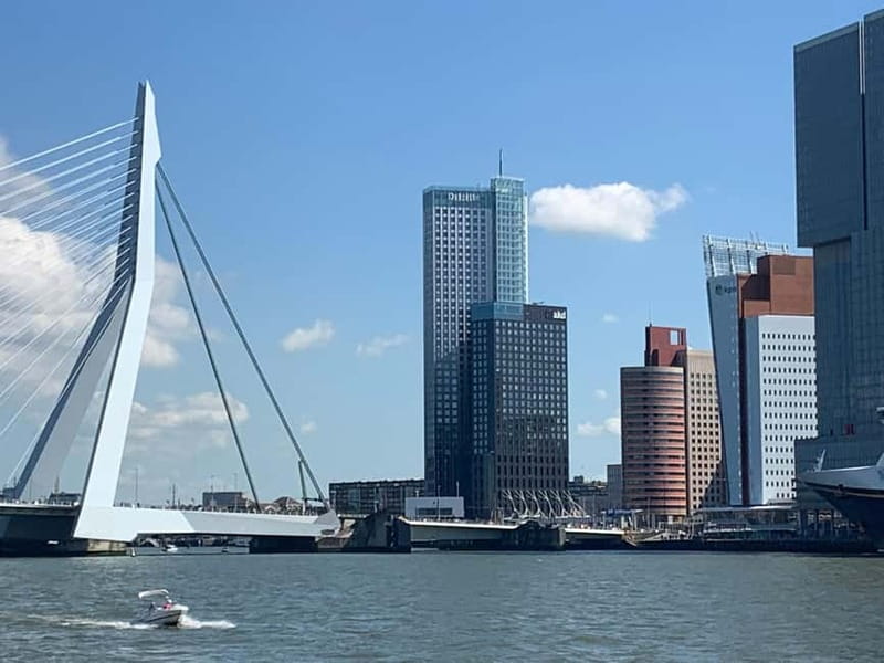 Amsterdam: Kinderdijk, Euromast, Delft and Den Haag Day Tour - Small-group comfort in an air-conditioned van
