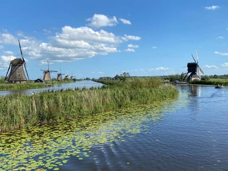 Amsterdam: Kinderdijk, Euromast, Delft and Den Haag Day Tour - Guide quality and pacing: why it matters on a long day
