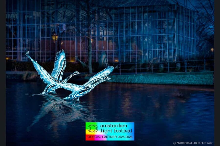 Amsterdam: Light Festival Heated Cruise with Drinks Option - Getting there: Sea Palace meeting point and what to look for