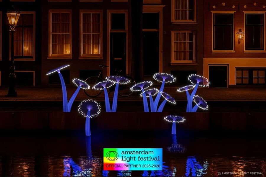 Amsterdam: Light Festival Heated Cruise with Drinks & Snacks - Guides, Hosting Style, and What You Can Expect to Hear