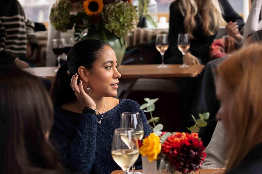 Amsterdam: Luxury Cruise Unlimited Cocktails & Snacks Option - Key highlights to watch for