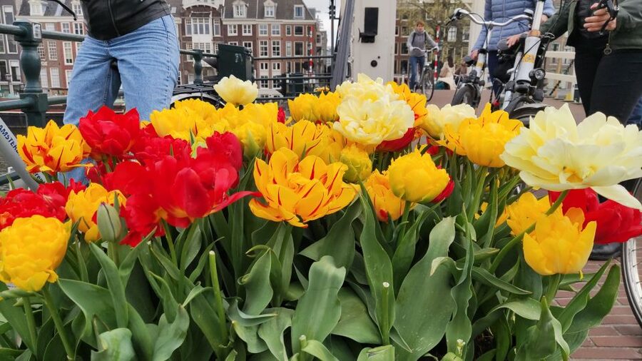 Amsterdam: Off the Beaten Path Bike Tour in French - Prins Hendrikkade: A Short Segment With a Big City-Edge Feel
