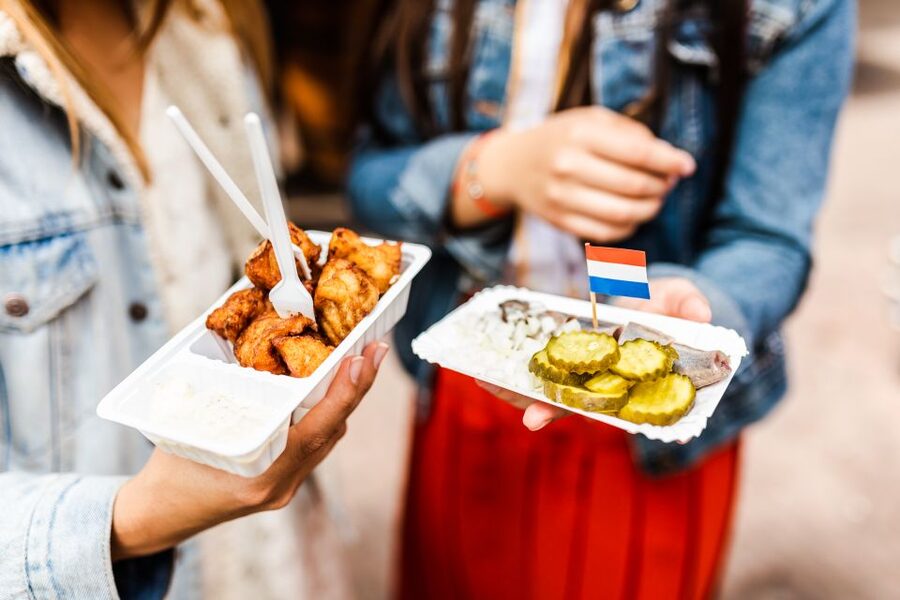 Amsterdam: Off-the-Beaten-Track Neighborhoods Private Tour - Key points you should know before you go