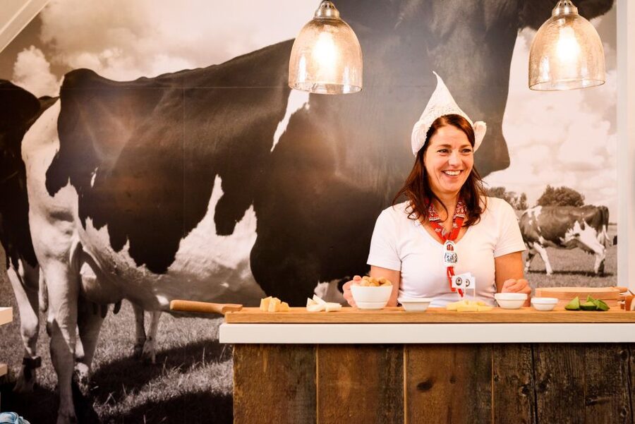 Amsterdam: Premium Henri Willig Cheese Tasting Experience - The Henri Willig family story and the short film you actually remember