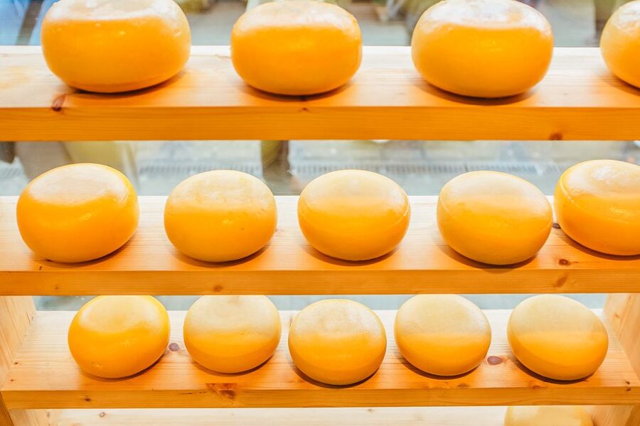 Amsterdam: Premium Henri Willig Cheese Tasting Experience - Who should book (and who should skip)
