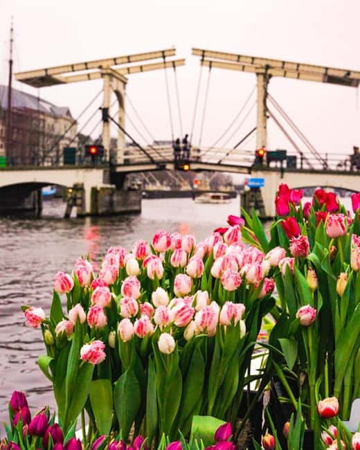 Amsterdam: Premium Tulip Boat Canal Tour - Anne Frank House Views and the Photo Game Plan
