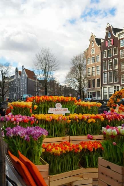 Amsterdam: Premium Tulip Boat Canal Tour - Price and Value: Is $32 Worth an Hour on the Canals?