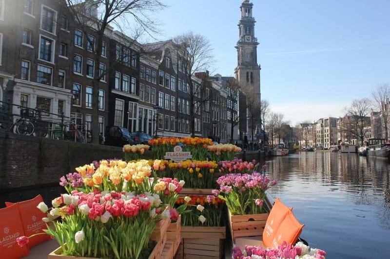Amsterdam: Premium Tulip Boat Canal Tour - Your Small-Group Tulip Boat Experience: Seating, Flowers, and Sightlines
