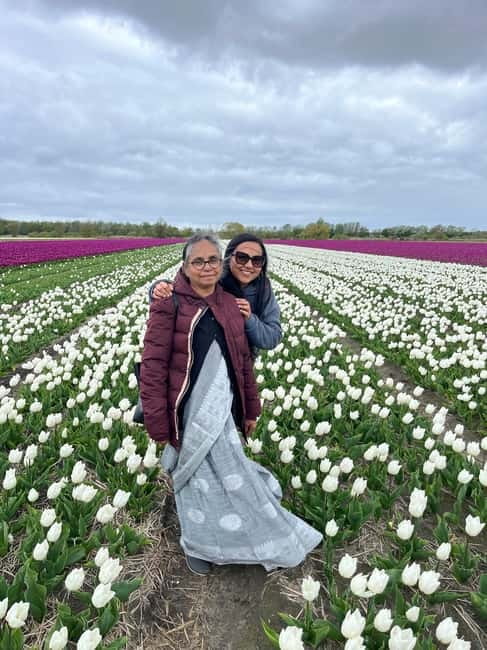 Amsterdam: Private Keukenhof and Free Tulip Tour - Price and value: is $637 per group up to 3 worth it?