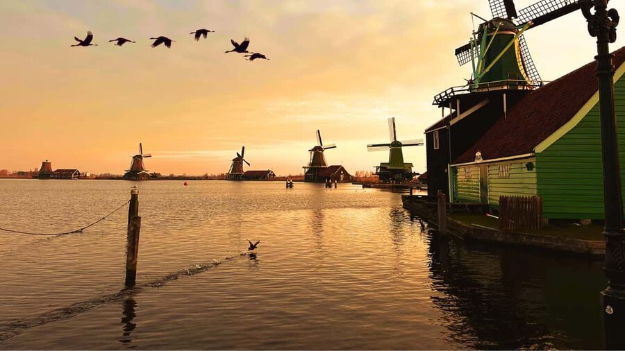 Amsterdam: Private Tour Giethoorn, Zaanse Schans Local Guide - Your Guide, Your Pace, and the Languages That Matter