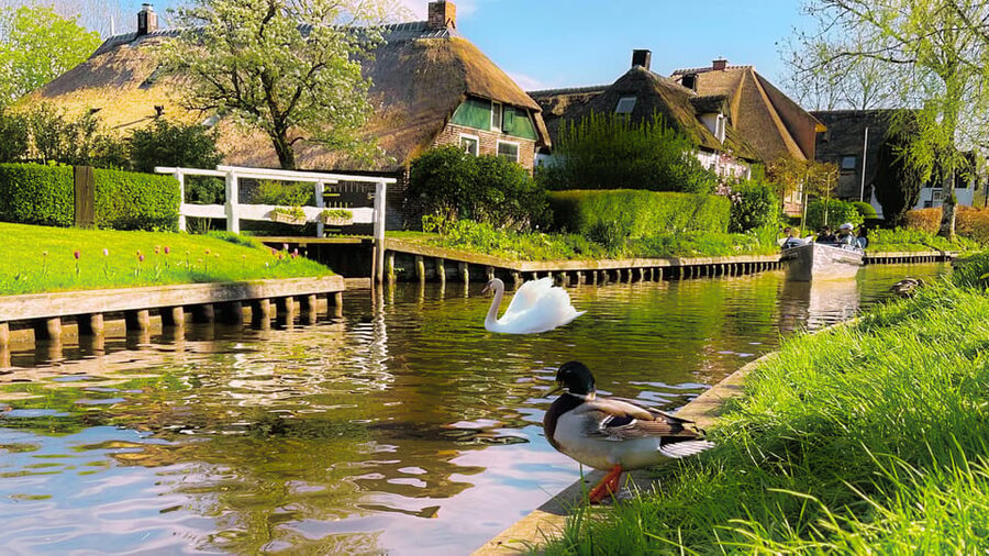 Amsterdam: Private Tour Giethoorn, Zaanse Schans Local Guide - Wooden Clogs and the Craft Behind Them