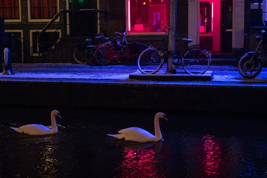 Amsterdam: Red Light District and Coffeeshop Culture Tour - A 2-hour Red Light District walk with answers, not just sights