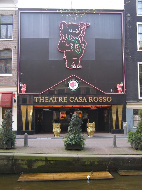 Amsterdam: Red Light District and Coffeeshop tour - Red windows, culture, and the laws that shape what you see