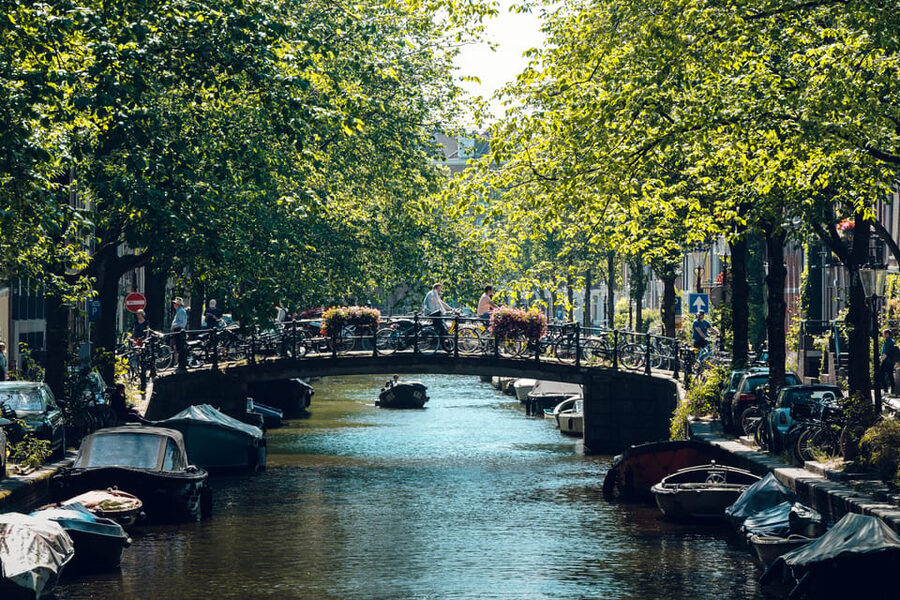 Amsterdam: Relaxed City Highlights Guided Bike Tour - Vondelpark: a park that actually takes time to earn