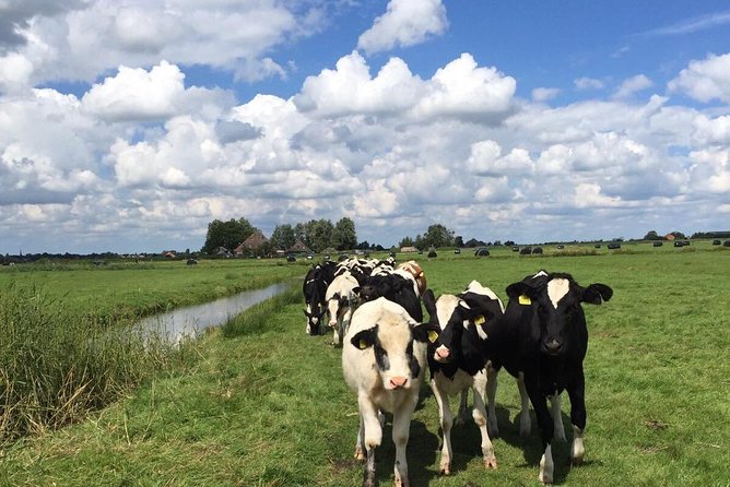 Amsterdam's Countryside Half-Day Bike Tour in Small Group - Getting started at Spuistraat 30, 9:30 am, and what to expect early
