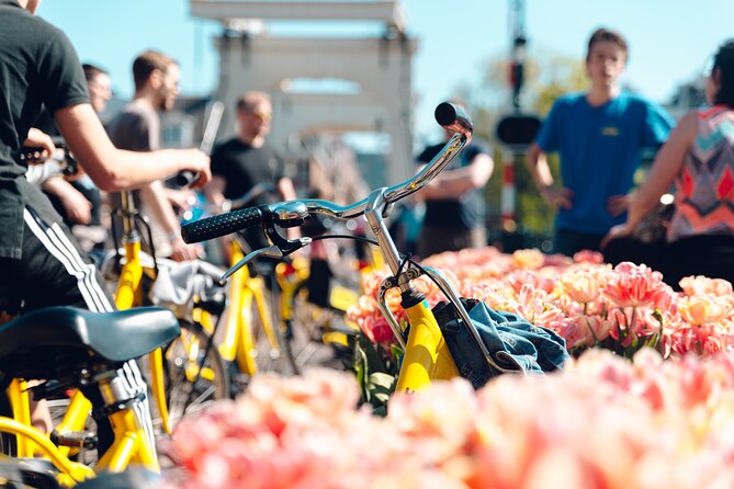 Amsterdam Small Group Bike Tour - Key highlights worth your time