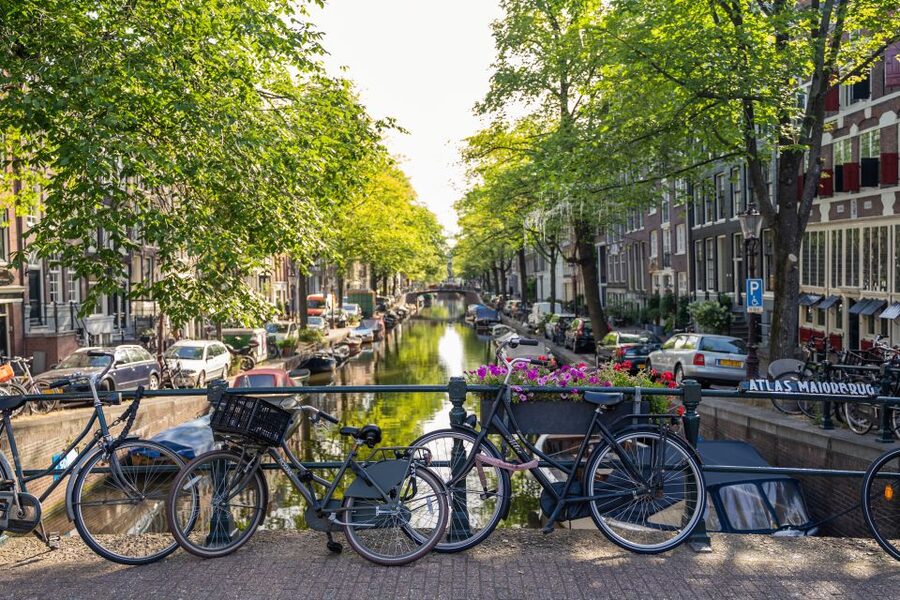Amsterdam Small-Group Walking Tour - Meeting at Beursplein 1: The Easiest Start in Central Amsterdam
