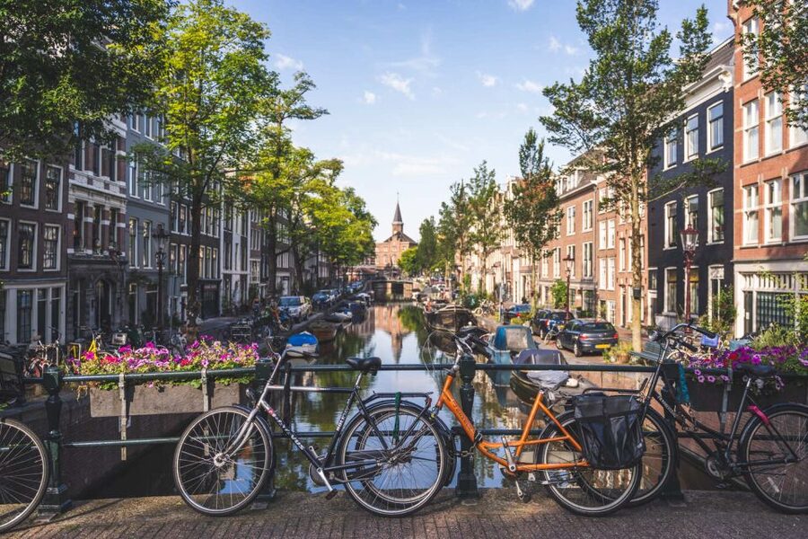 Amsterdam Small-Group Walking Tour - Beursplein and Dam Square: Trading Power Meets Public Space