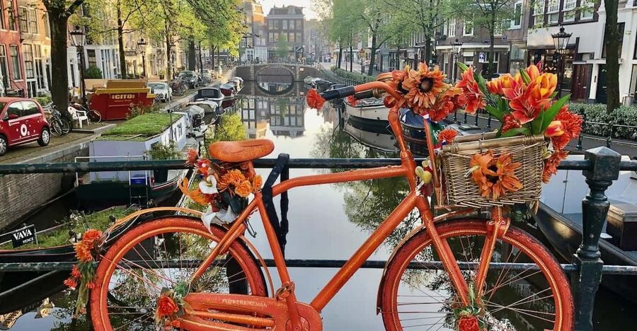 Amsterdam: Small Group Walking Tour with Fun Guide - Dam Square to Canal Corners: Why This Walk Works