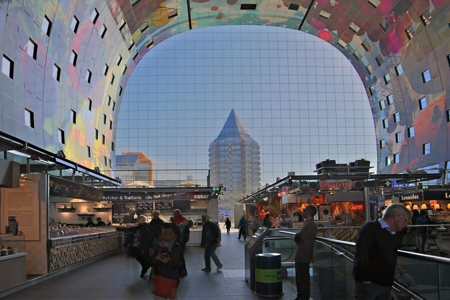 Amsterdam: The Hague, Delft and Rotterdam Private Day Tour - Language and guide quality: what to expect from your day