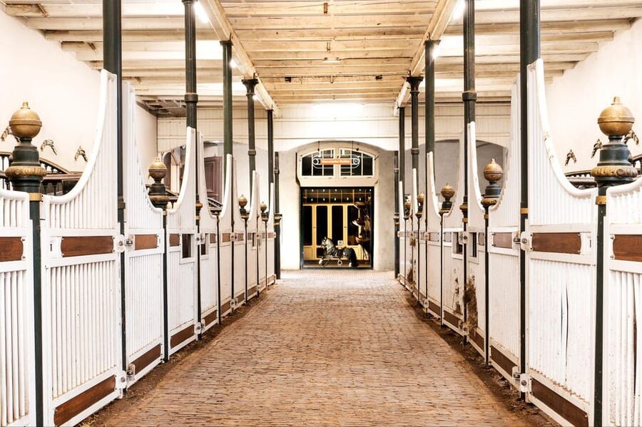 Amsterdam: The 'Hollandsche Manege' Stables Entry Ticket - A 1744 Riding School in the Middle of Amsterdam