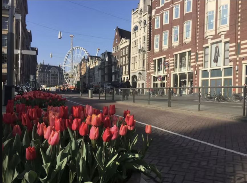 Amsterdam: The Story of History & Culture Walking Tour - Dogs, Small Joys, and Why This Tour Feels Like People Time