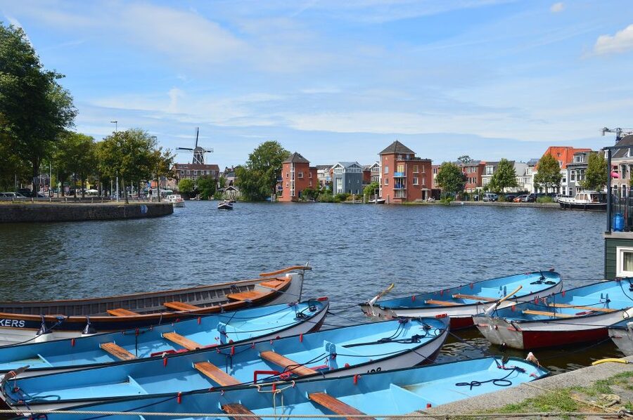 Amsterdam to Haarlem: Private Day-Trip Experience - Price and value: what $182 per person really covers
