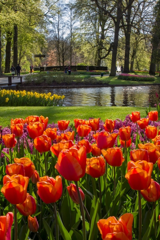 Amsterdam: Tour to Keukenhof Gardens with Windmill Cruise - Key reasons this trip is worth your time