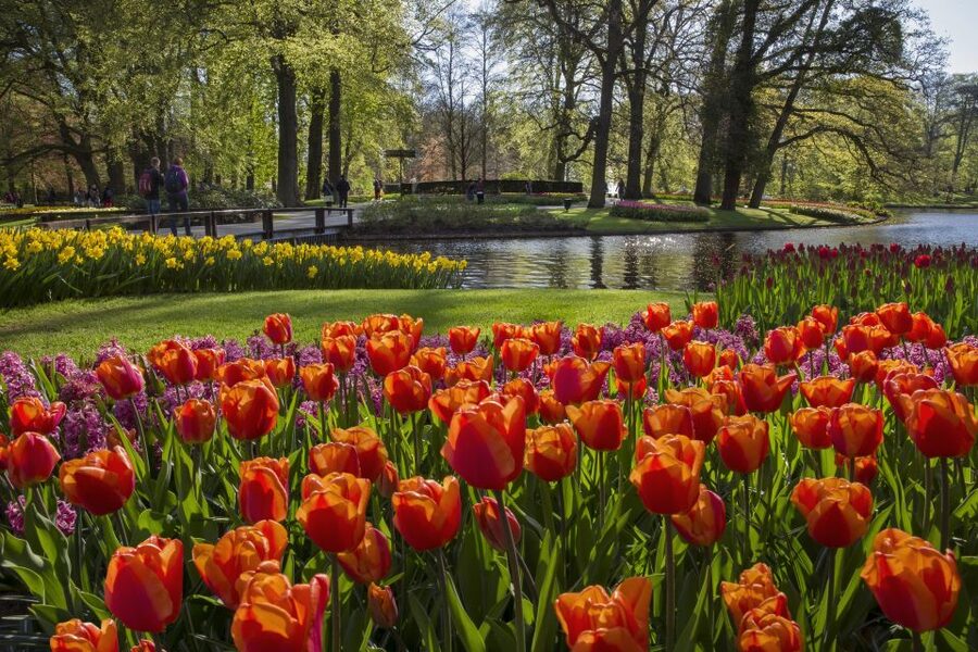 Amsterdam: Tour to Keukenhof Gardens with Windmill Cruise - The Warmond windmill cruise: how the polders story comes to life